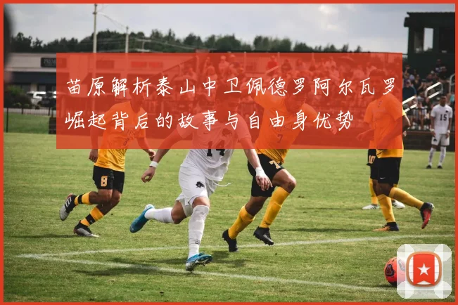 苗原解析泰山中卫佩德罗阿尔瓦罗崛起背后的故事与自由身优势