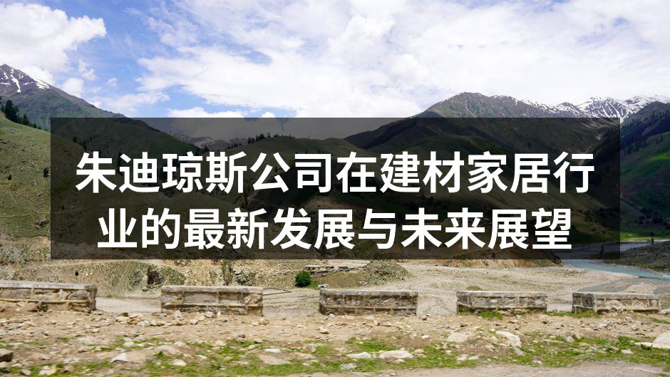 朱迪琼斯公司在建材家居行业的最新发展与未来展望